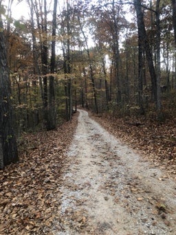 Road to cabins