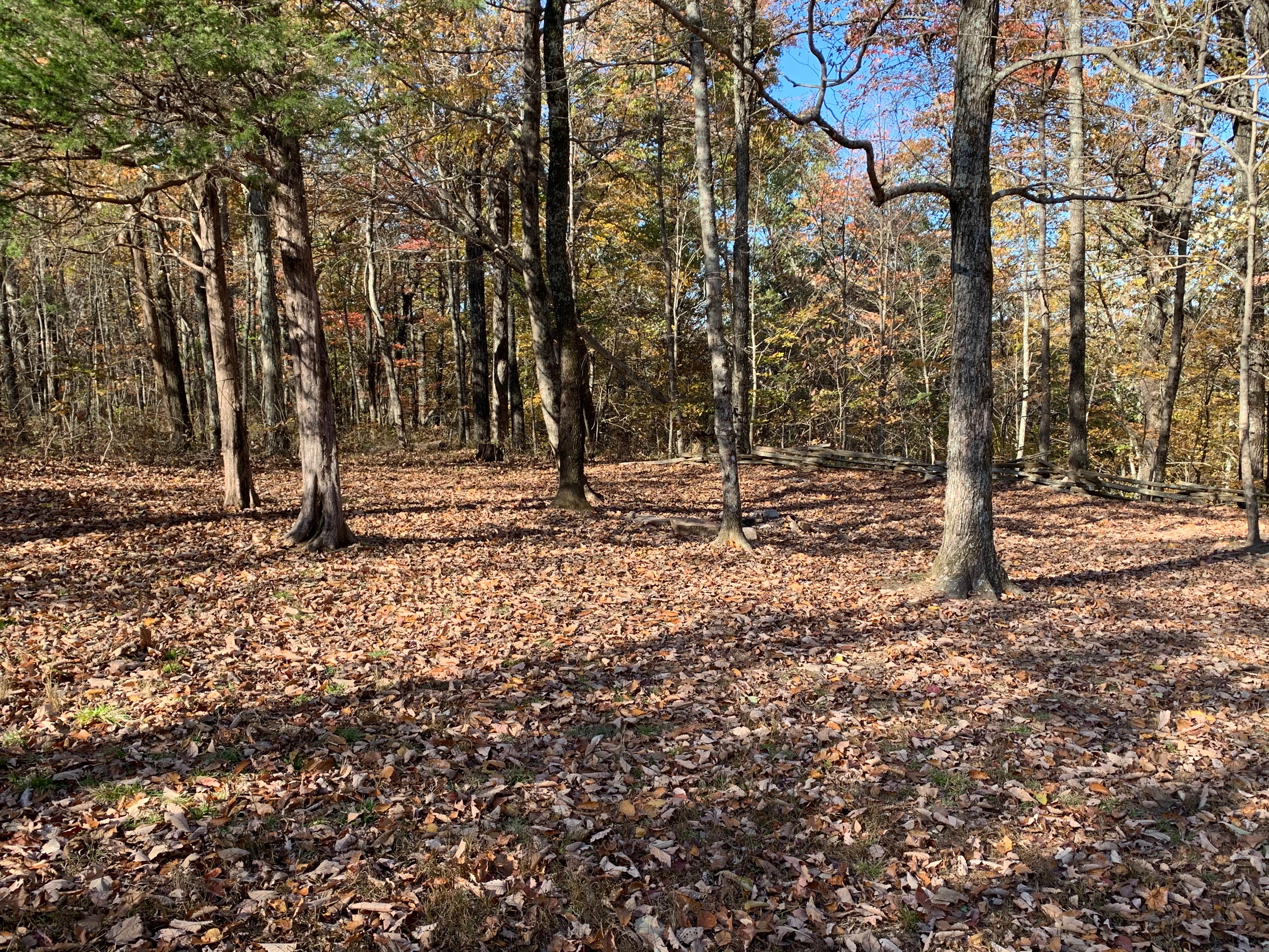 Camper submitted image from Walls of Jericho - Trailhead Campsite - 2