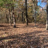 Review photo of Walls of Jericho - Trailhead Campsite by Steve V., November 20, 2019