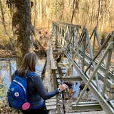 Review photo of Walls of Jericho - Trailhead Campsite by Steve V., November 20, 2019