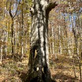 Review photo of Walls of Jericho - Trailhead Campsite by Steve V., November 20, 2019