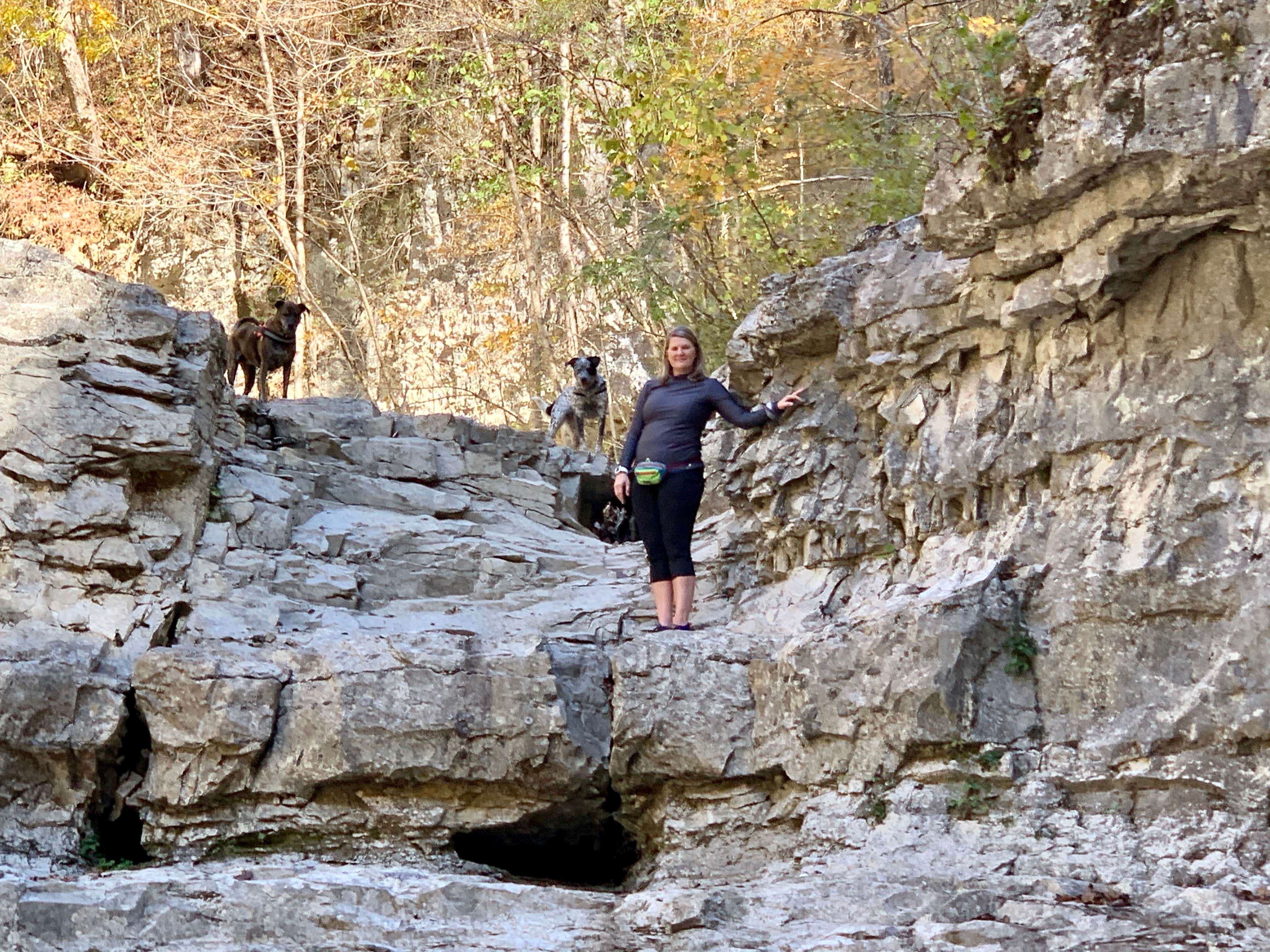 Steve V.'s photo of camping with pets at Walls of Jericho - Trailhead Campsite near Lynchburg, Moore County, TN