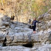 Review photo of Walls of Jericho - Trailhead Campsite by Steve V., November 20, 2019