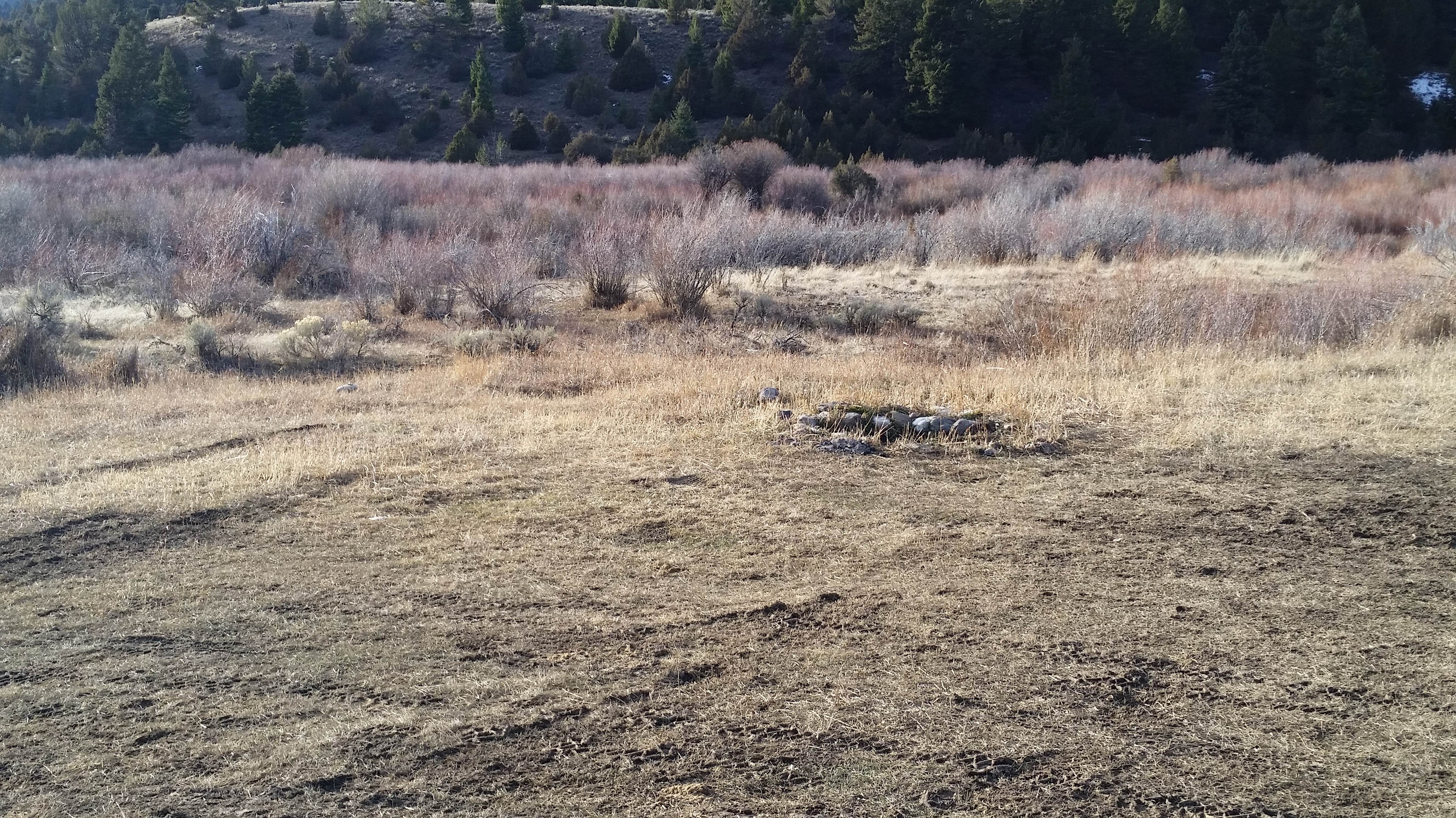 Camper-submitted photo at 6100J Dispersed Camping Area near Ennis, MT