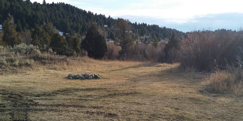 Camper submitted image from 6100J Dispersed Camping Area