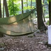 Review photo of Beaver Pond Campground — Harriman State Park by Elliot G., November 21, 2019