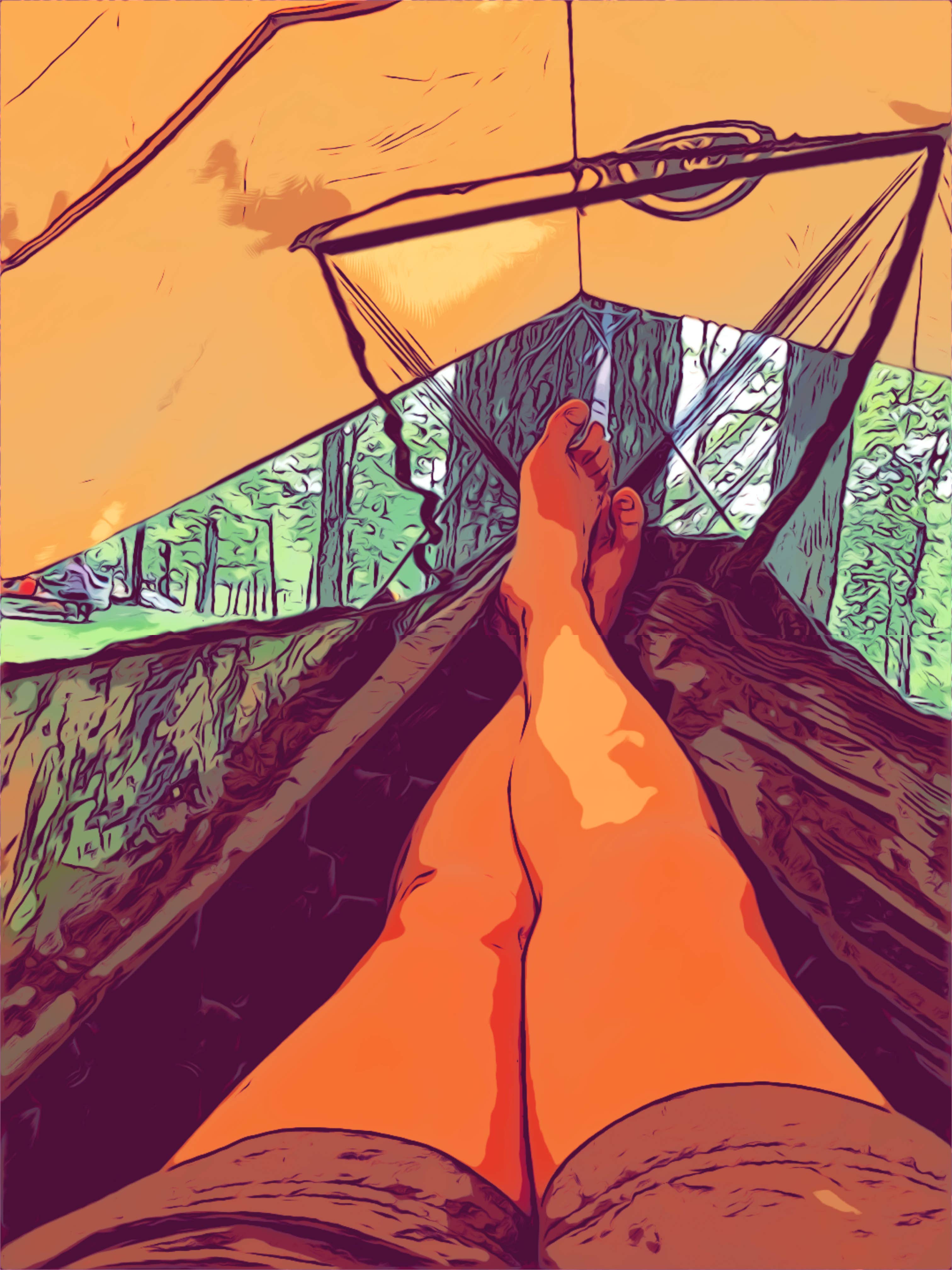 2019 Cartoonized shot in the hammock
