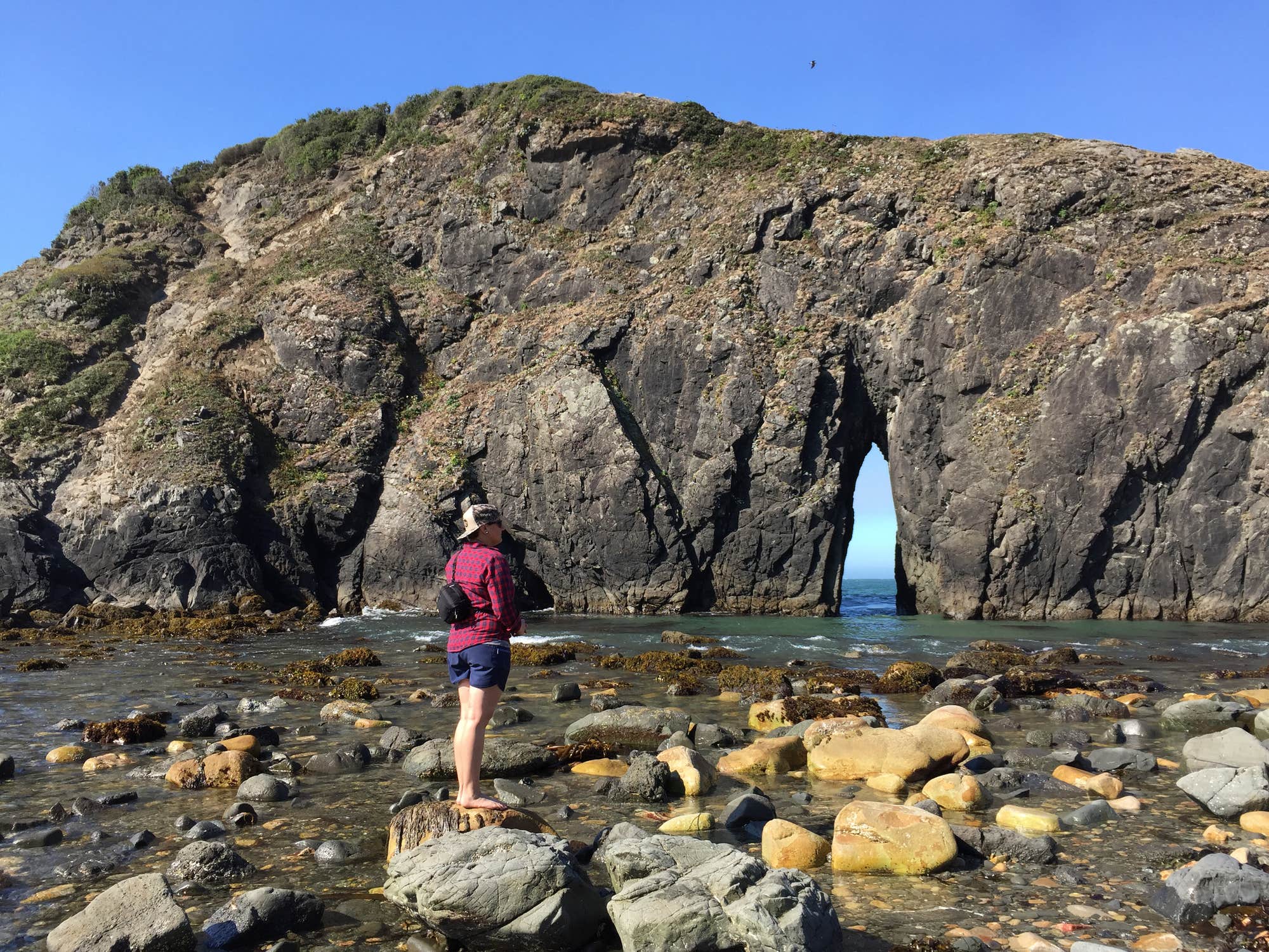 Harris Beach State Park Campground - Best Camping in Southern Oregon