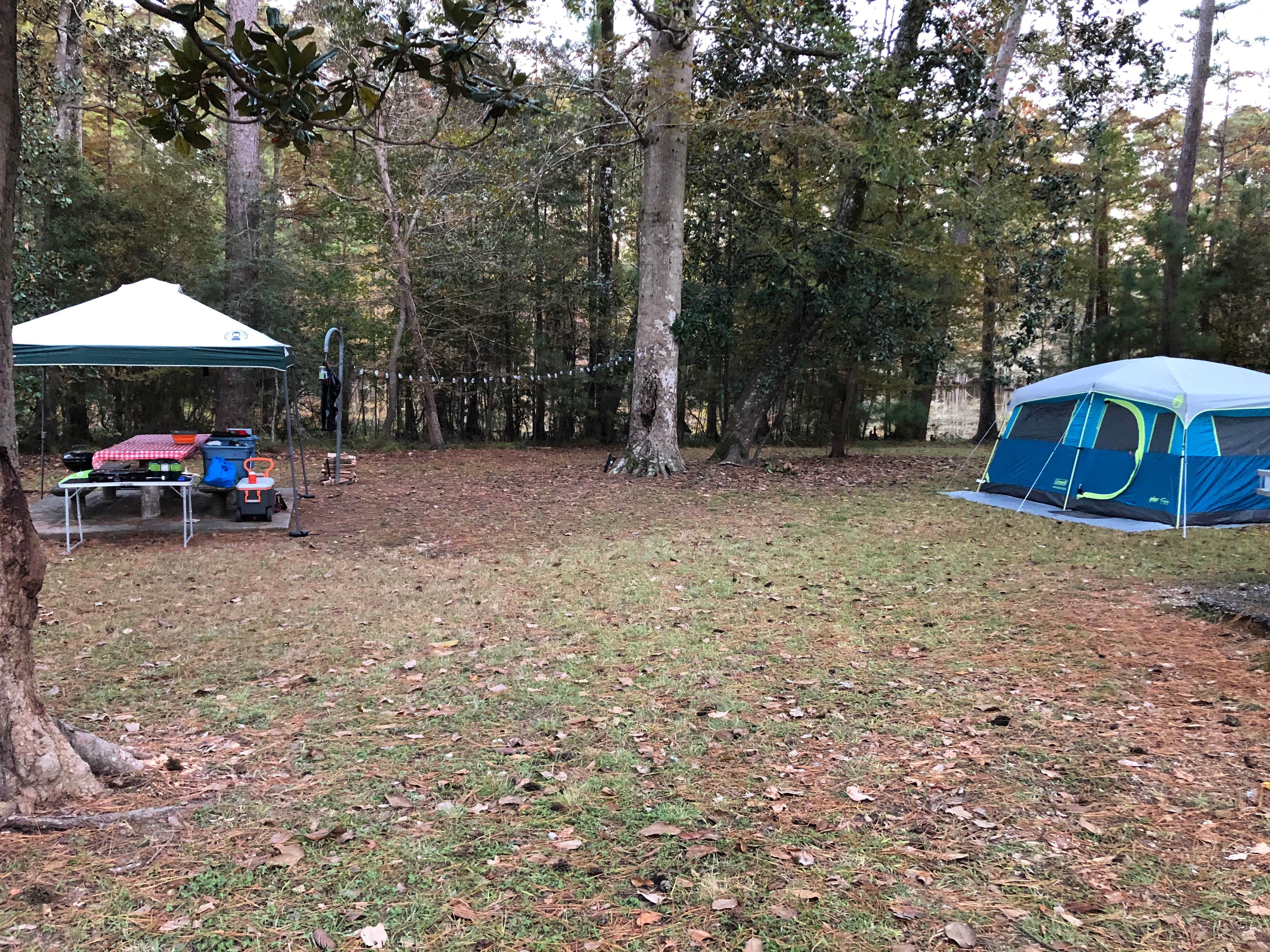 Camper-submitted photo at Walnut Ridge near Big Thicket National Preserve