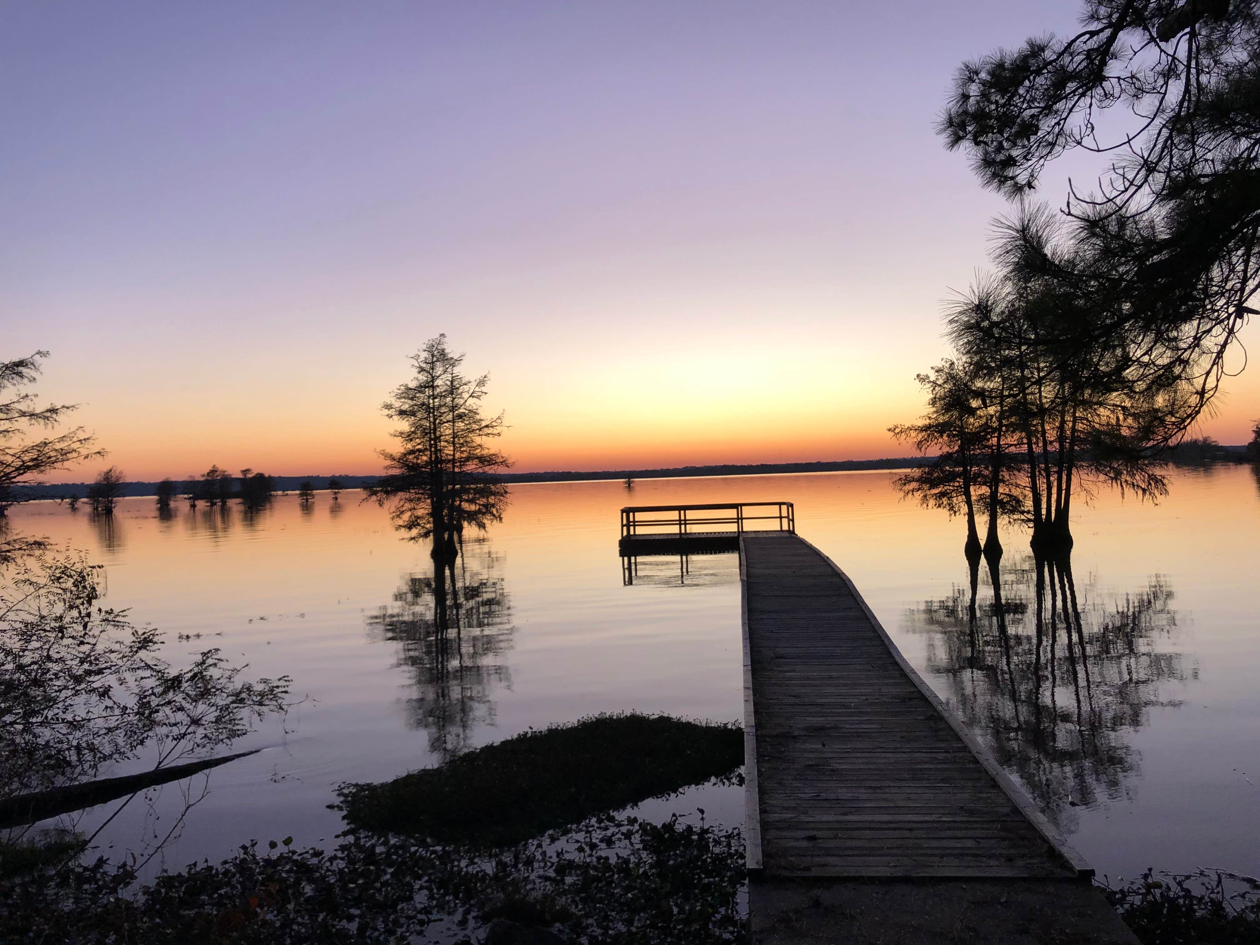 Camper-submitted photo at Walnut Ridge near Big Thicket National Preserve