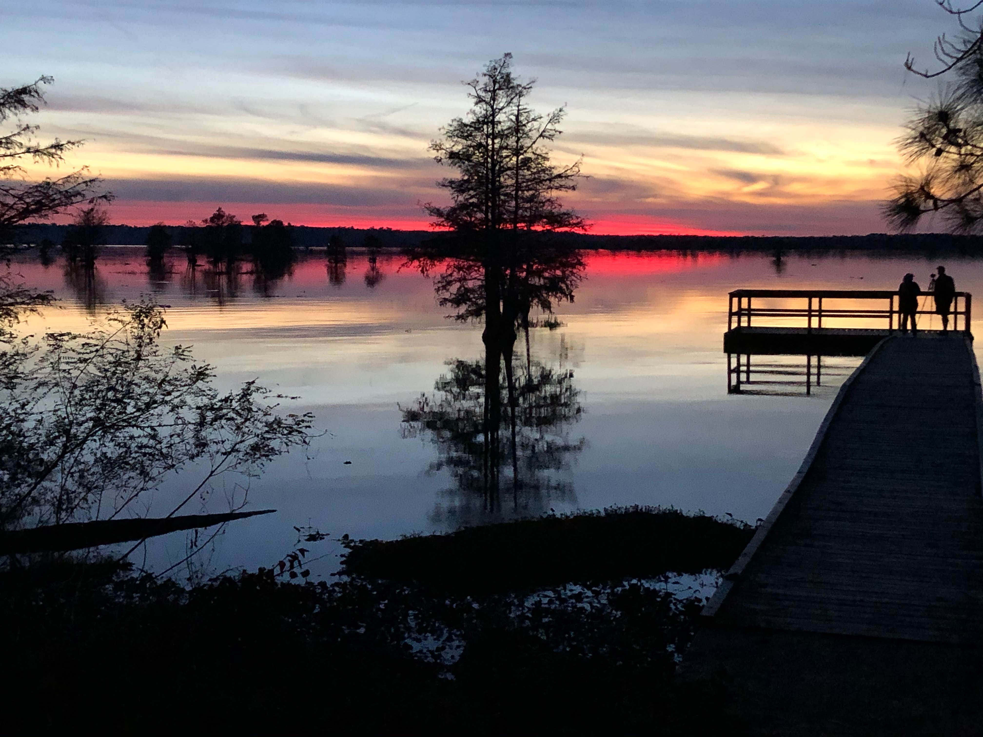 Camping near Po-Man Outdoor Collective R&R: Walnut Ridge, Steinhagen Lake, Texas