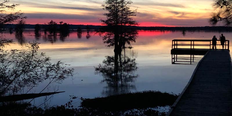 Camper submitted image from Walnut Ridge