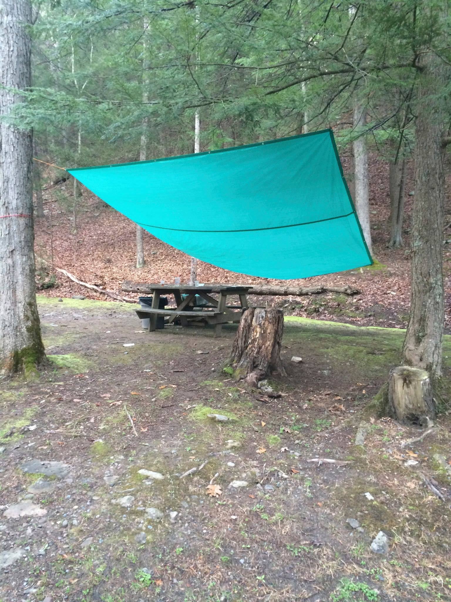 Camper submitted image from Kittatinny Campground - 3