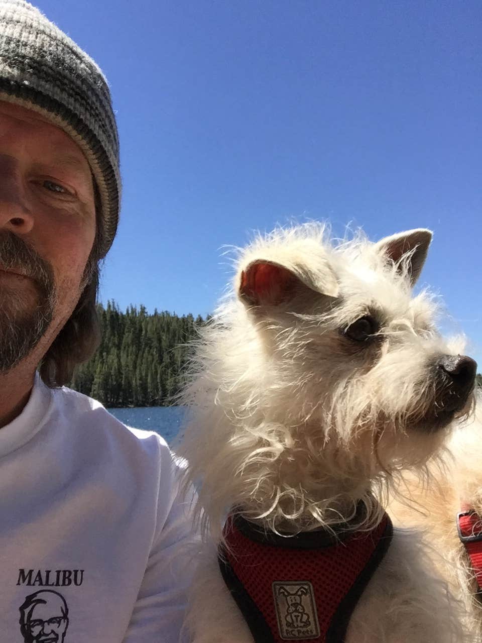 Carter B.'s photo of camping with pets at Pine Marten Campground near Eldorado National Forest