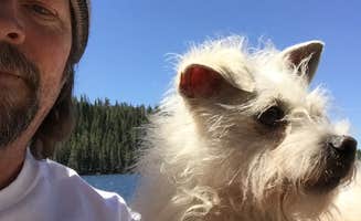 Carter B.'s photo of camping with pets at Pine Marten Campground near Stanislaus National Forest