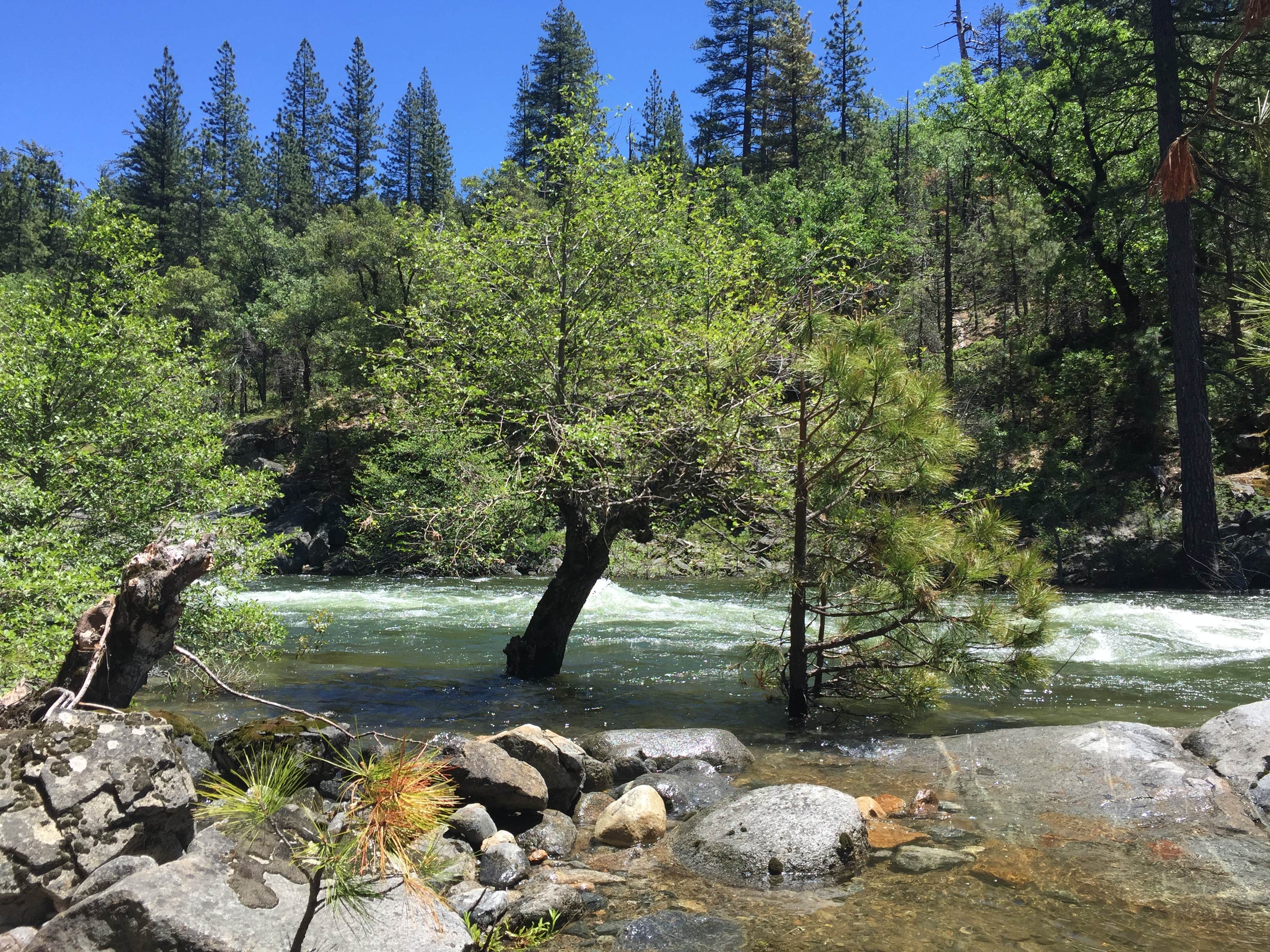 Camper-submitted photo at Wa Ka Luu Hep Yoo Campground near Avery, CA
