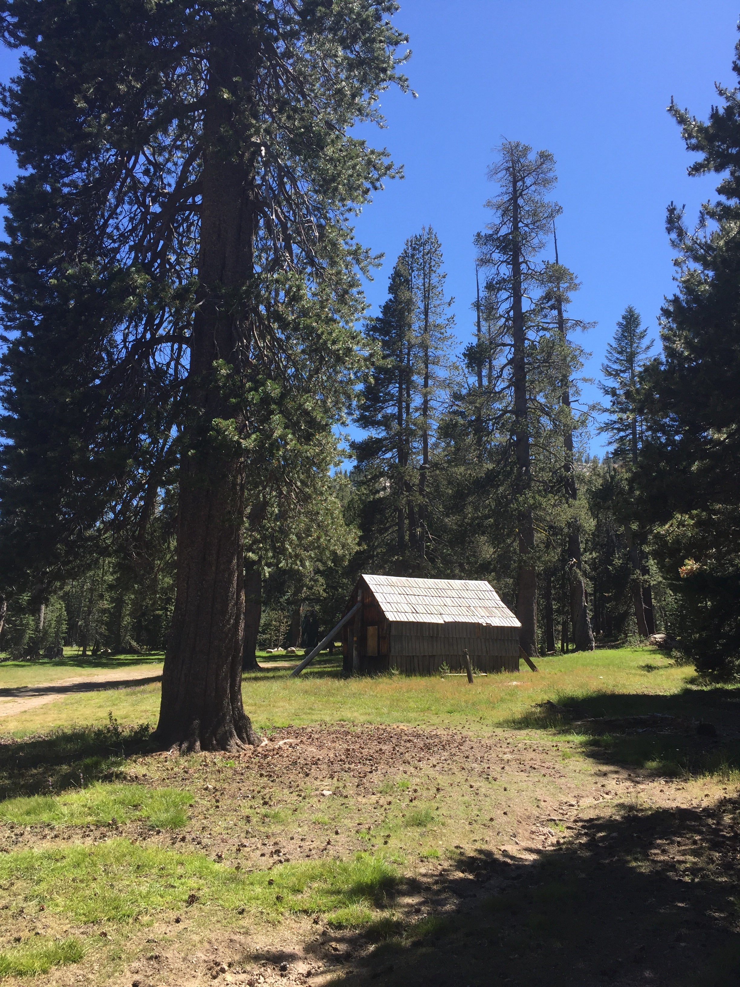 Camper submitted image from Pacific Valley Campground - 5