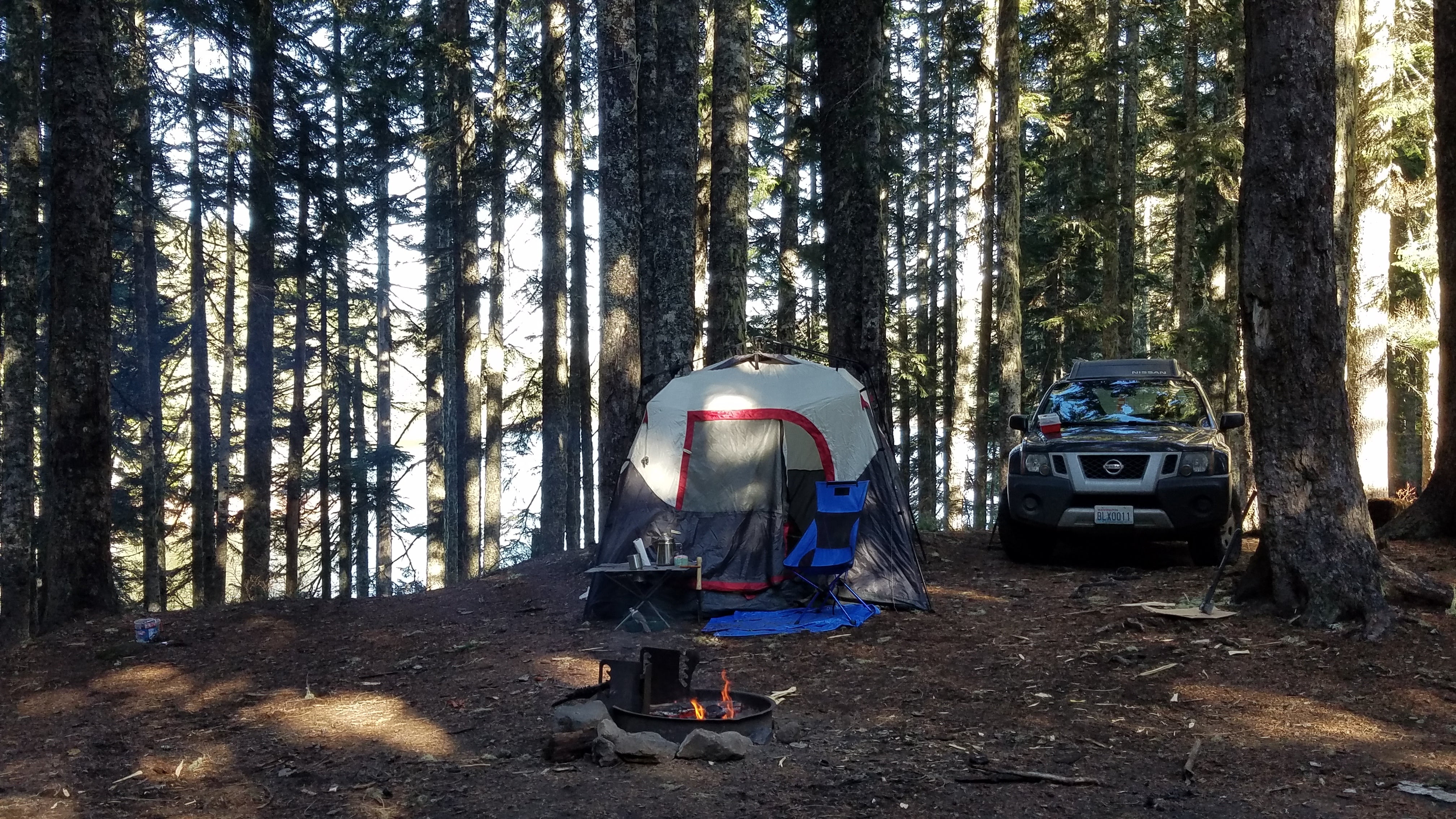 Camper submitted image from Council Lake - 5