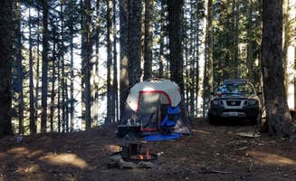 Juice B.'s photo at Council Lake near Gifford Pinchot National Forest
