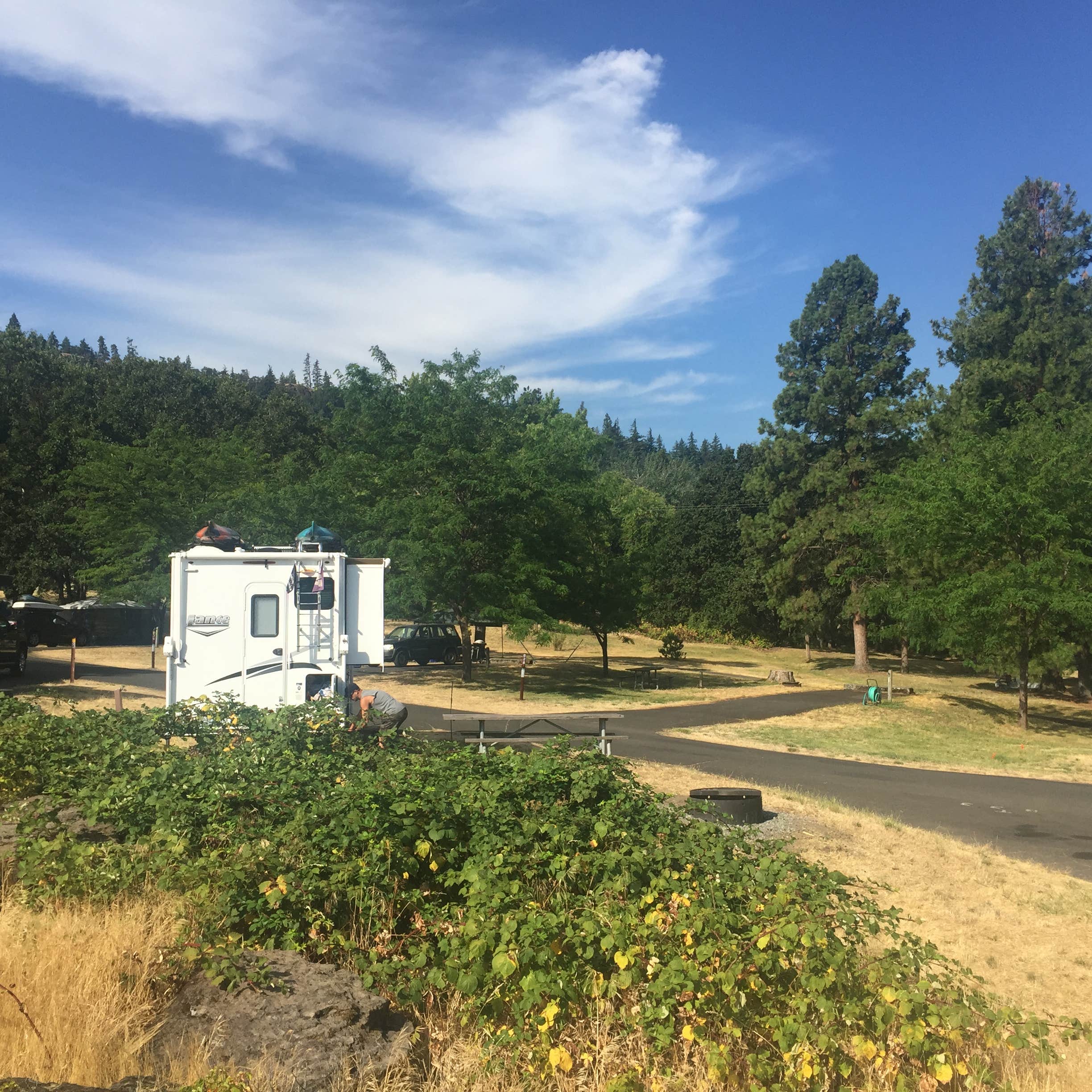 Dawn G.'s photo of rv camping at Memaloose State Park Campground near Bingen, WA