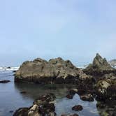 Review photo of Abalone Campground — Sue-meg State Park by Carly M., August 22, 2017