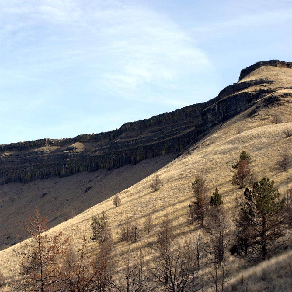 Mecca Flat Campground Camping The Dyrt