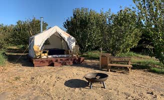 The Dyrt's photo at Lagier Ranches Camp near Lodi, CA