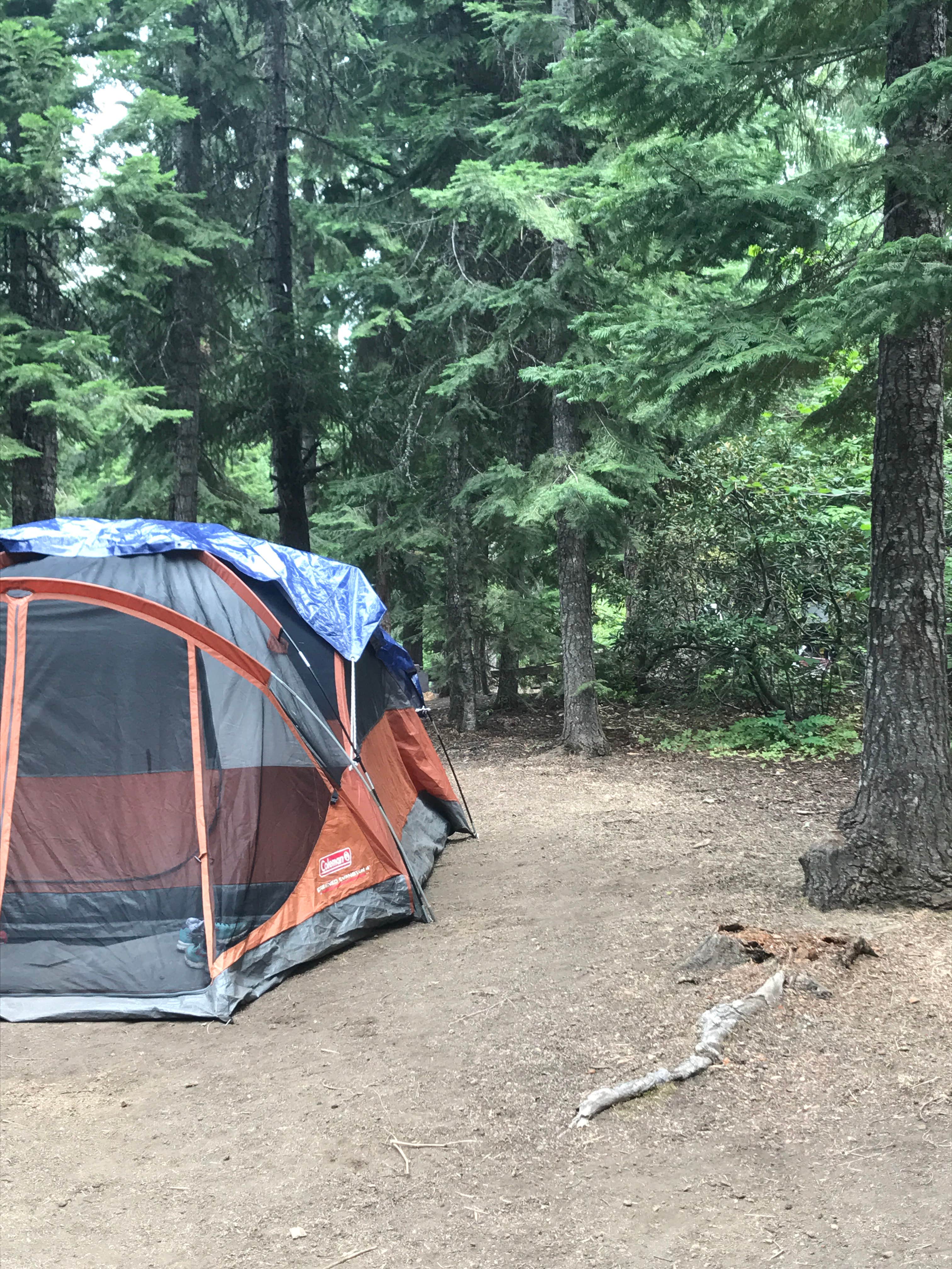 Michael W.'s photo at Blue Bay near Camp Sherman, OR