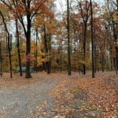 Review photo of Raccoon Mountain Caverns and Campground by Cantrell C., November 24, 2019