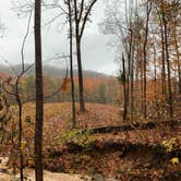 Review photo of Raccoon Mountain Caverns and Campground by Cantrell C., November 24, 2019