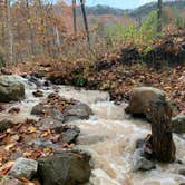 Review photo of Raccoon Mountain Caverns and Campground by Cantrell C., November 24, 2019