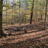 Review photo of Walls of Jericho - Hurricane Creek Backcountry Campsite by Steve V., November 24, 2019