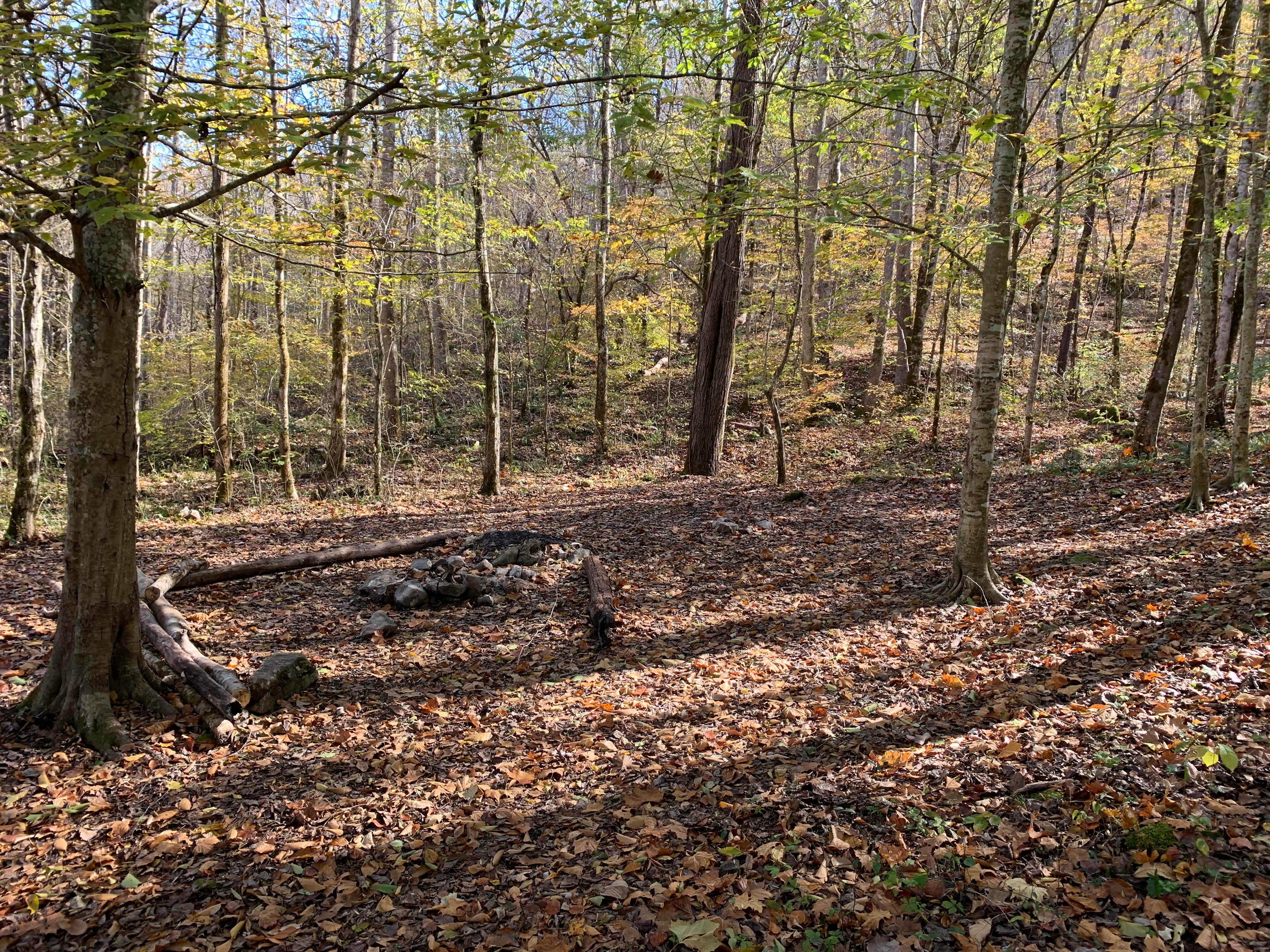 Camper submitted image from Walls of Jericho - Hurricane Creek Backcountry Campsite - 4