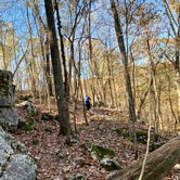 Review photo of Walls of Jericho - Hurricane Creek Backcountry Campsite by Steve V., November 24, 2019