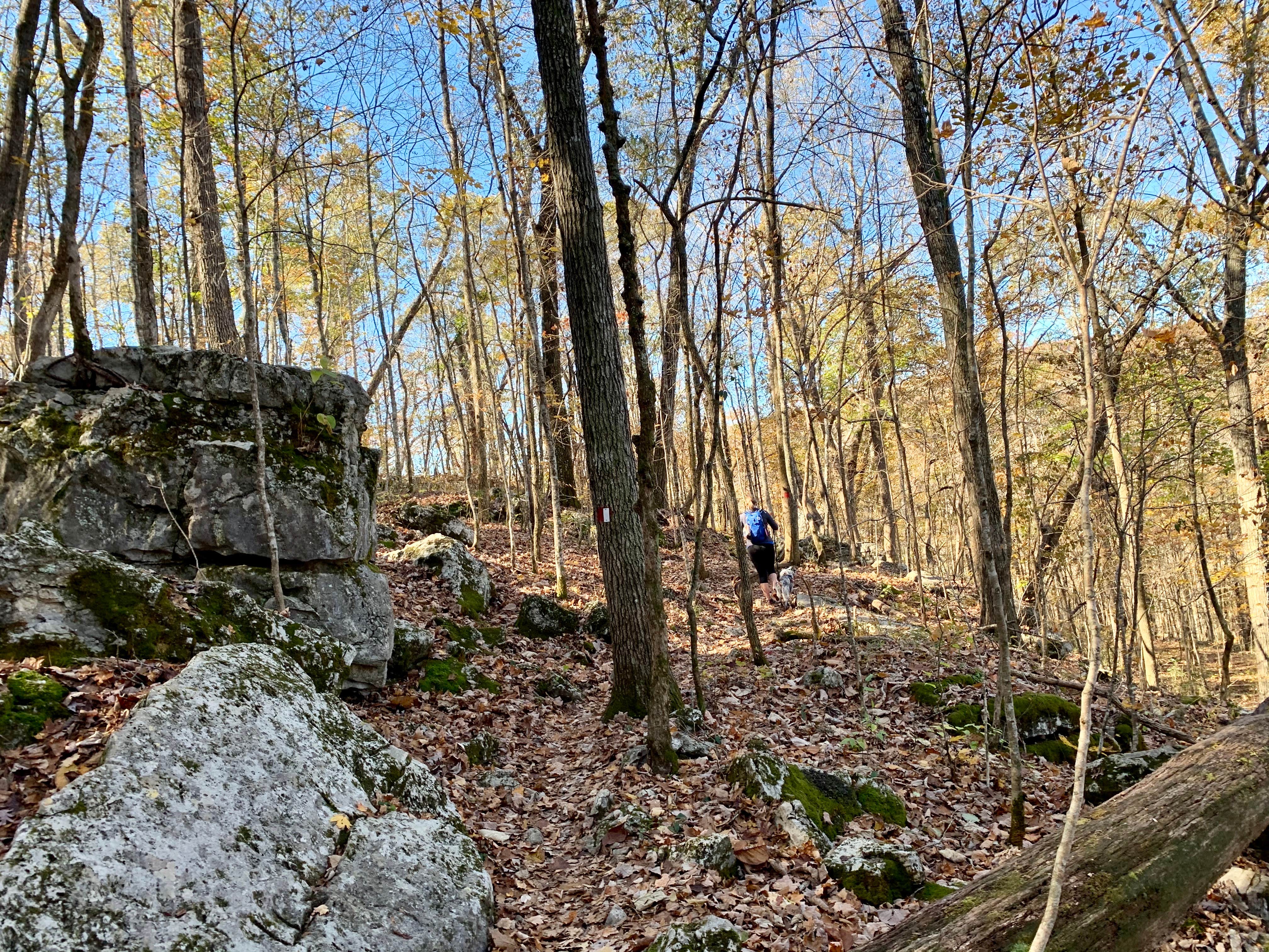 Camper-submitted photo at Walls of Jericho - Hurricane Creek Backcountry Campsite near Normal, AL