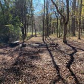 Review photo of Walls of Jericho - Clark Cemetery Backcountry Campsite by Steve V., November 24, 2019