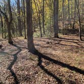 Review photo of Walls of Jericho - Clark Cemetery Backcountry Campsite by Steve V., November 24, 2019