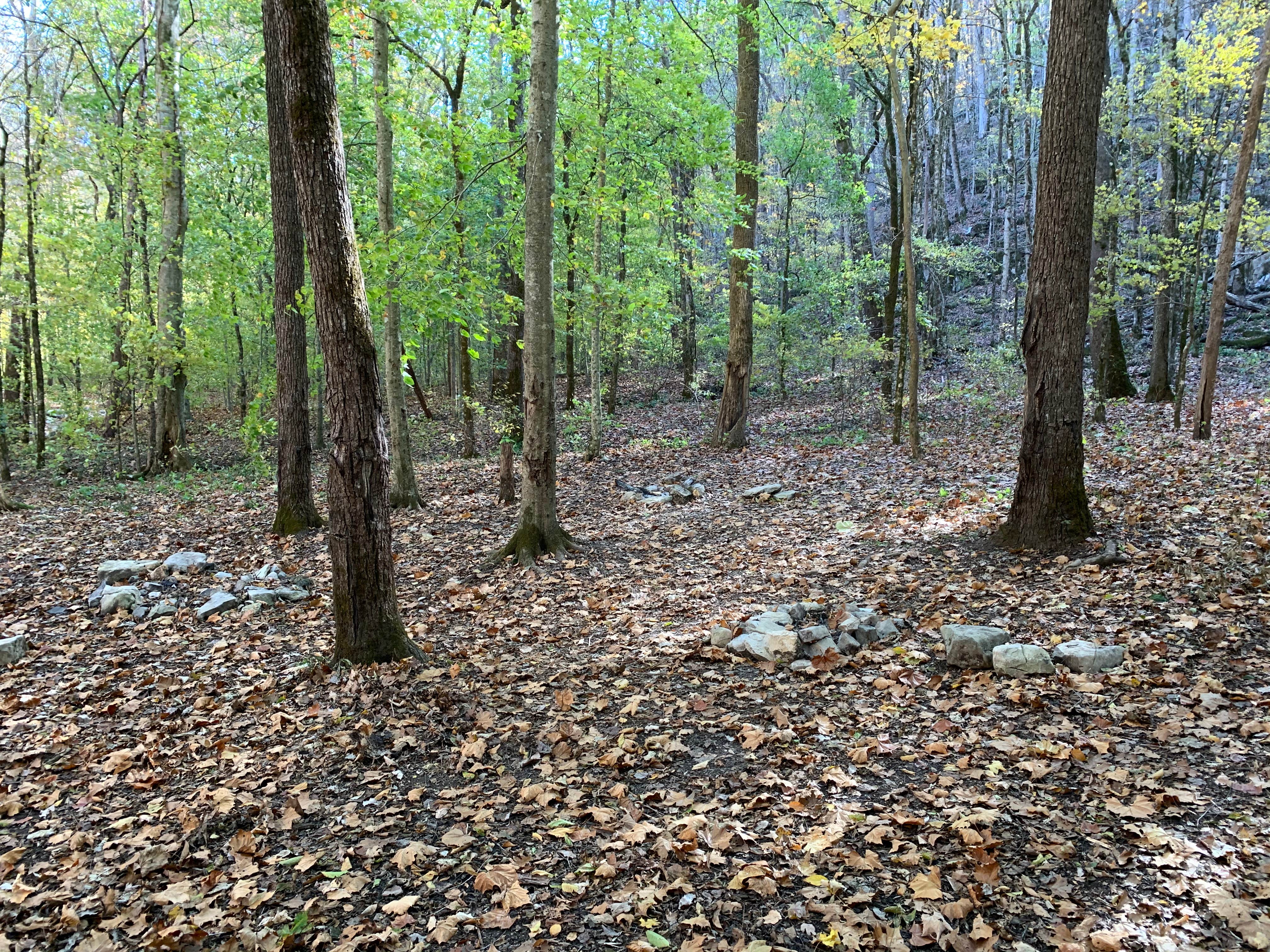 Camper-submitted photo at Walls of Jericho - Turkey Creek Backcountry Campsite near Estillfork, AL