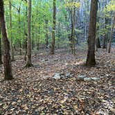 Review photo of Walls of Jericho - Turkey Creek Backcountry Campsite by Steve V., November 24, 2019