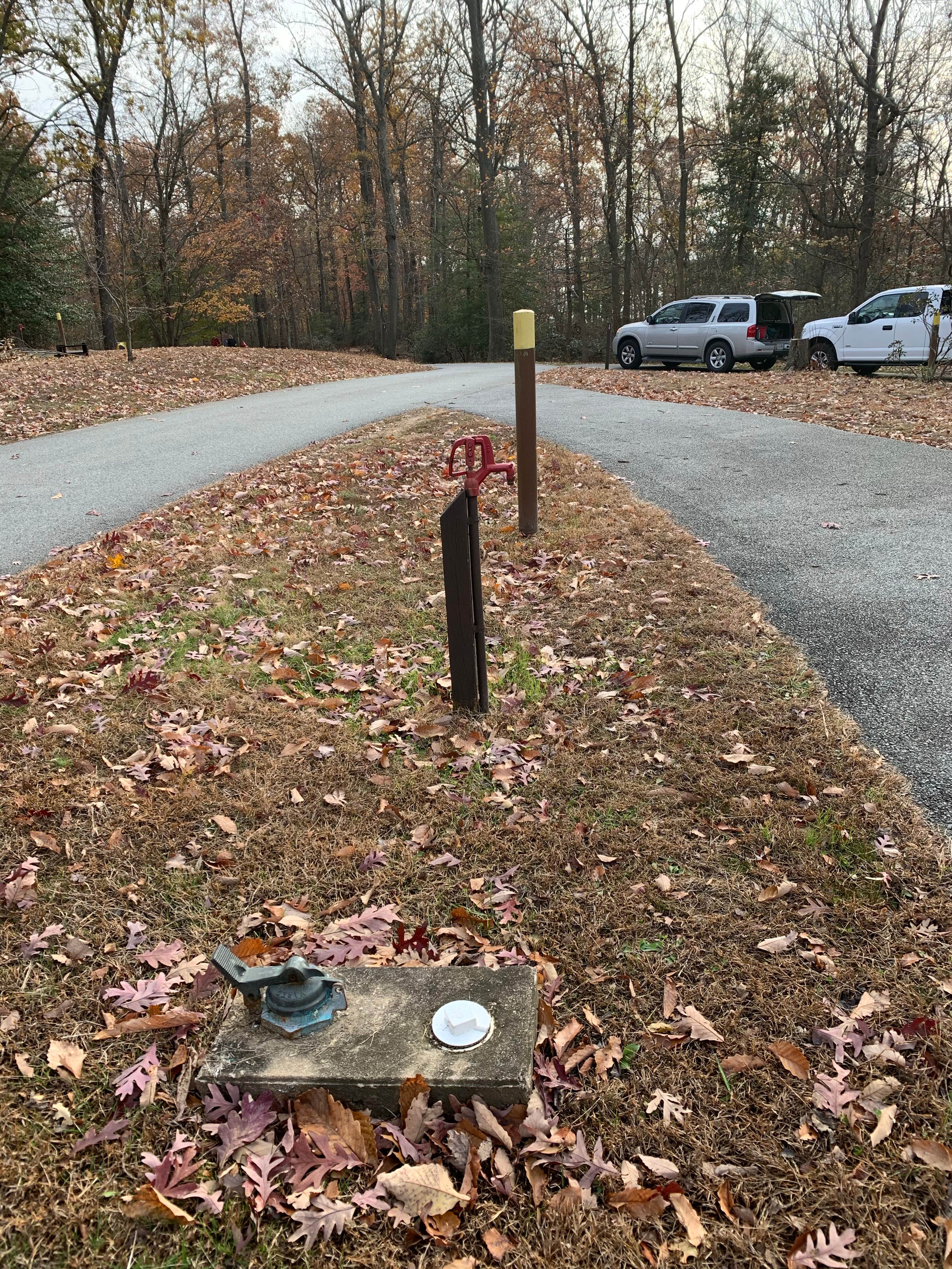 Camper submitted image from Elk Neck State Park Campground - 5