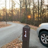 Review photo of Elk Neck State Park Campground by Laure D., November 24, 2019