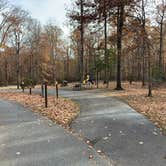 Review photo of Elk Neck State Park Campground by Laure D., November 24, 2019