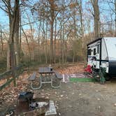 Review photo of Elk Neck State Park Campground by Laure D., November 24, 2019