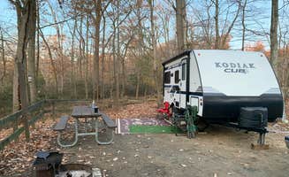Laure D.'s photo of rv camping at Elk Neck State Park Campground near Greensboro, MD