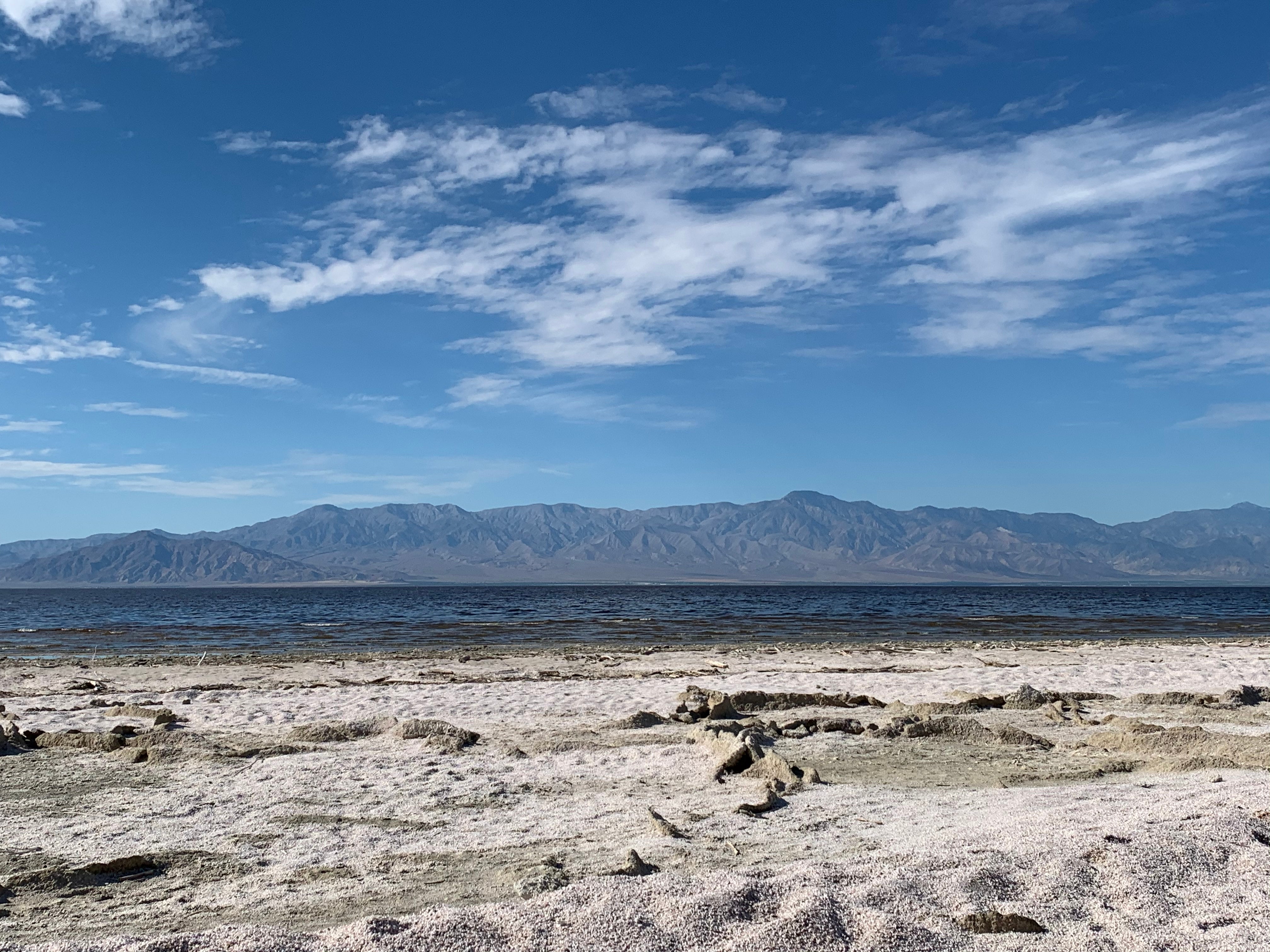 Camper submitted image from Headquarters Campground — Salton Sea State Recreation Area - 5