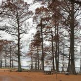 Review photo of Reelfoot Lake State Park Campgrounds by Shana D., November 25, 2019