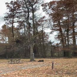 Reelfoot Lake State Park Campgrounds