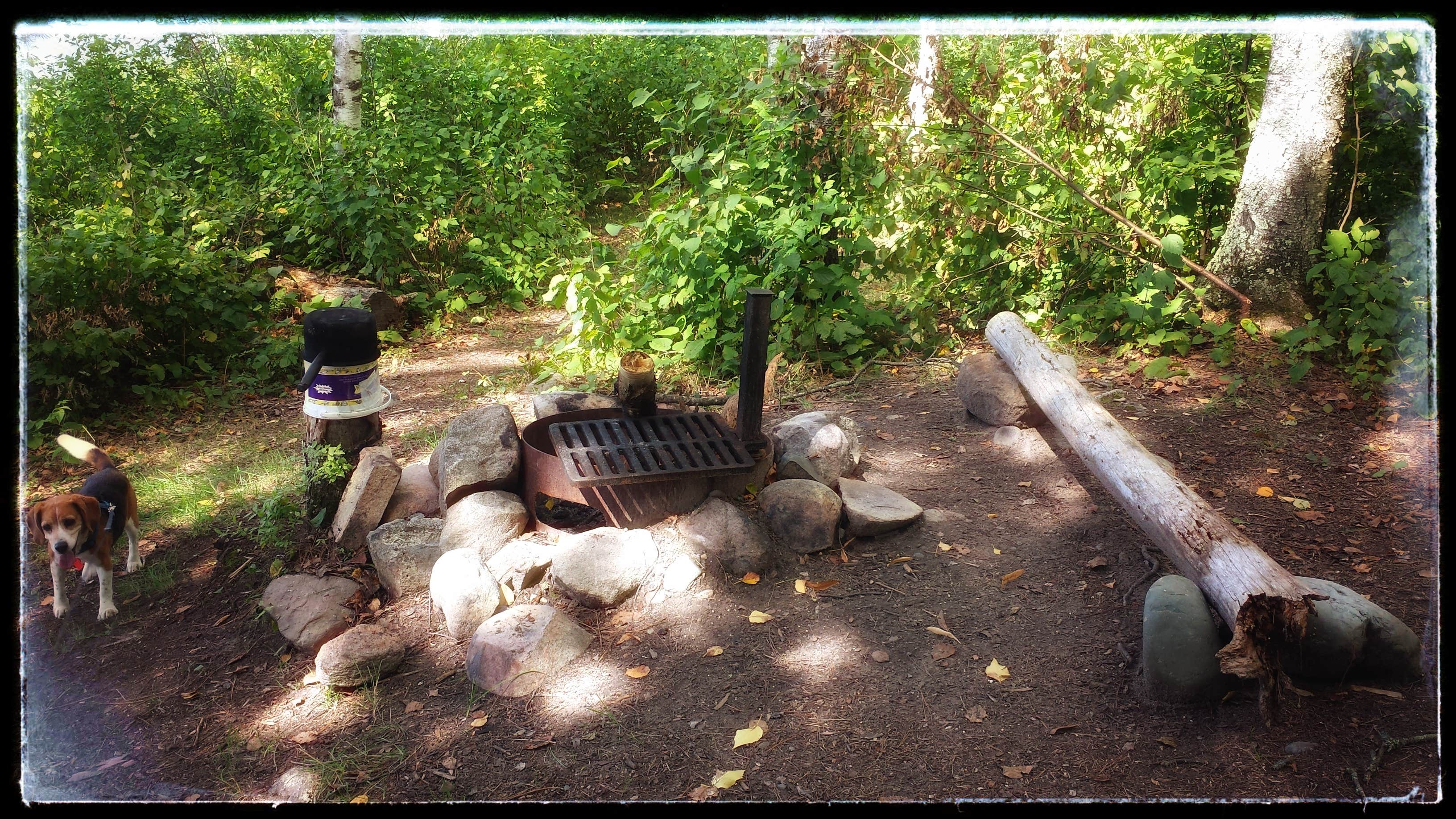 Camper-submitted photo at Waboose Lake - Paul Bunyan SF near Blackduck, MN