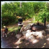 Review photo of Waboose Lake - Paul Bunyan SF by Amy G., August 22, 2017