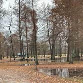 Review photo of Reelfoot Lake State Park Campgrounds by Shana D., November 25, 2019